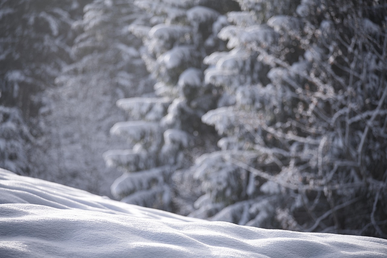 Snow, nature, winter — Keep Your Home Gleaming with the Best Skirting Board Cleaners