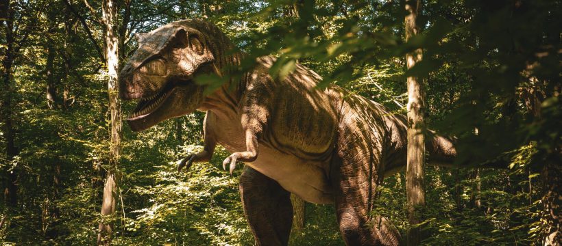 Tyrannosaurus rex body temperature